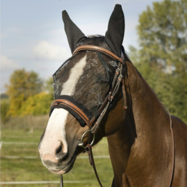 Masque EQUITHÈME "Training"