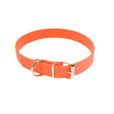 Collier pour chien fluorescent